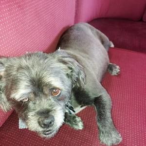 Meet your Posher, Ron